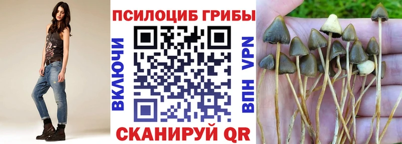 Псилоцибиновые грибы Magic Shrooms Щучье
