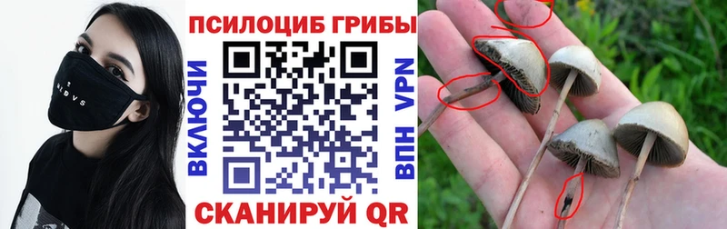 Псилоцибиновые грибы Magic Shrooms  наркотики  Щучье 